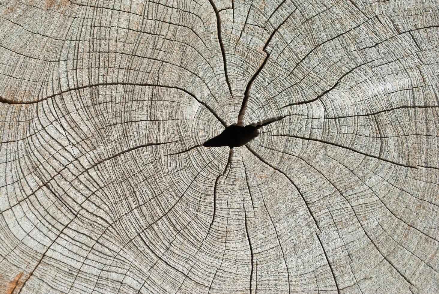 An image of wooden background photo