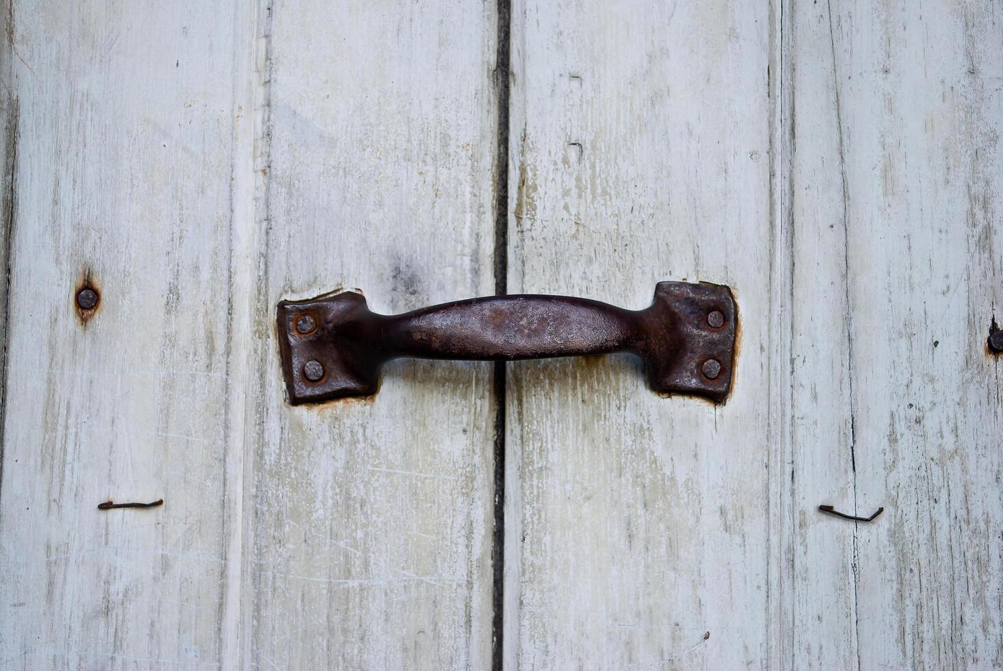 Door Handles on the old door photo