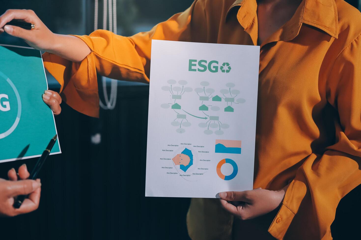 Essgo is a global leader in the design and development of software solutions for the financial services industry photo