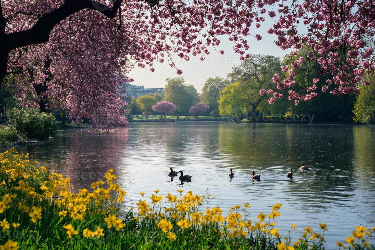 St. James’s Park
