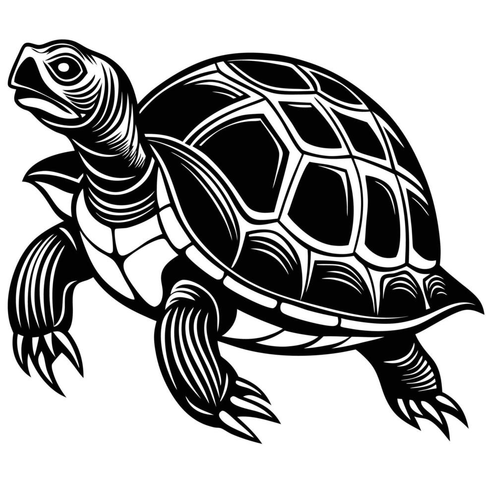 Decorative turtle silhouette image vector