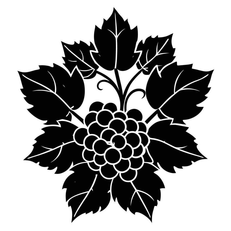 Vintage grapevine silhouette artwork vector
