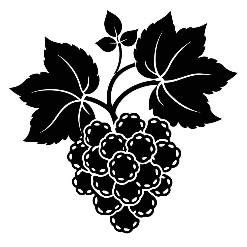 Nature grapevine silhouette icon vector