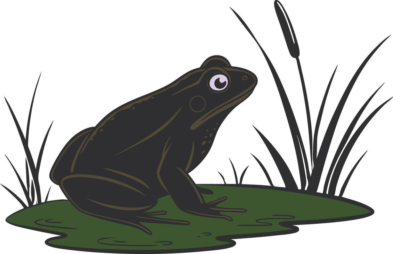 A black frog croaked by the edge of the pond vector