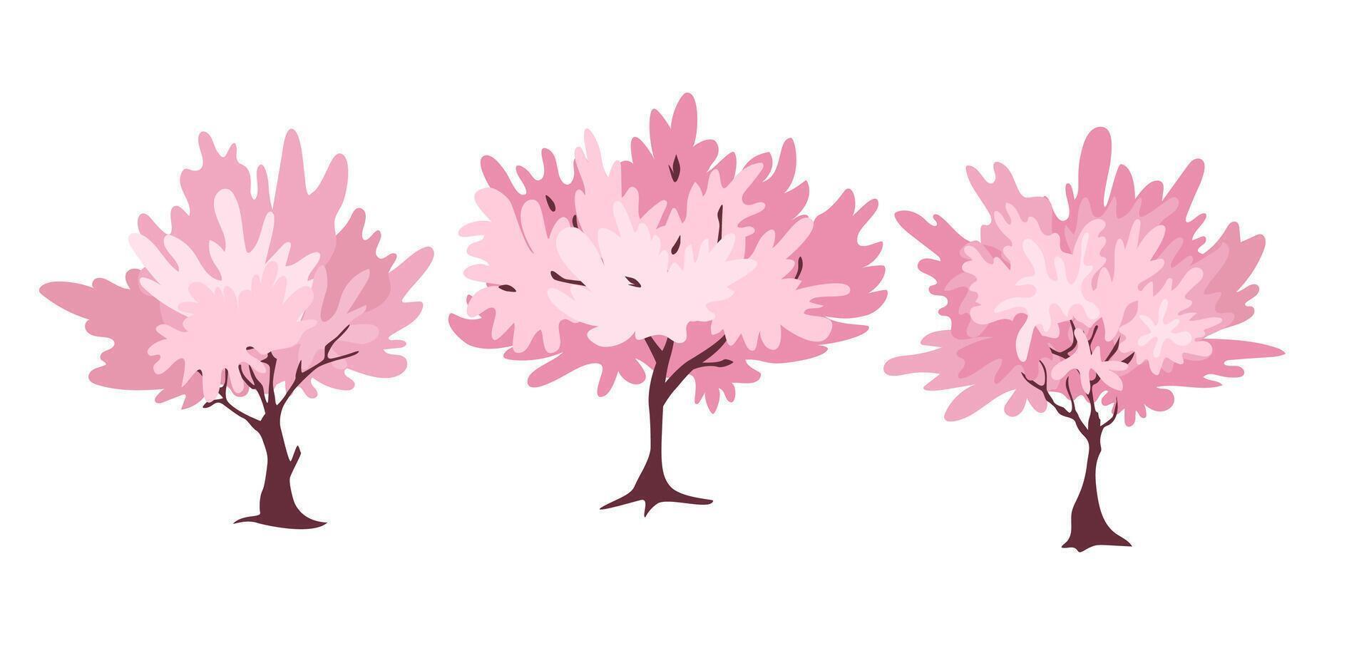 illustration of three blooming cherry blossom trees in soft pink tones on a white background. Tradition of admiring cherry blossoms Hanami. vector