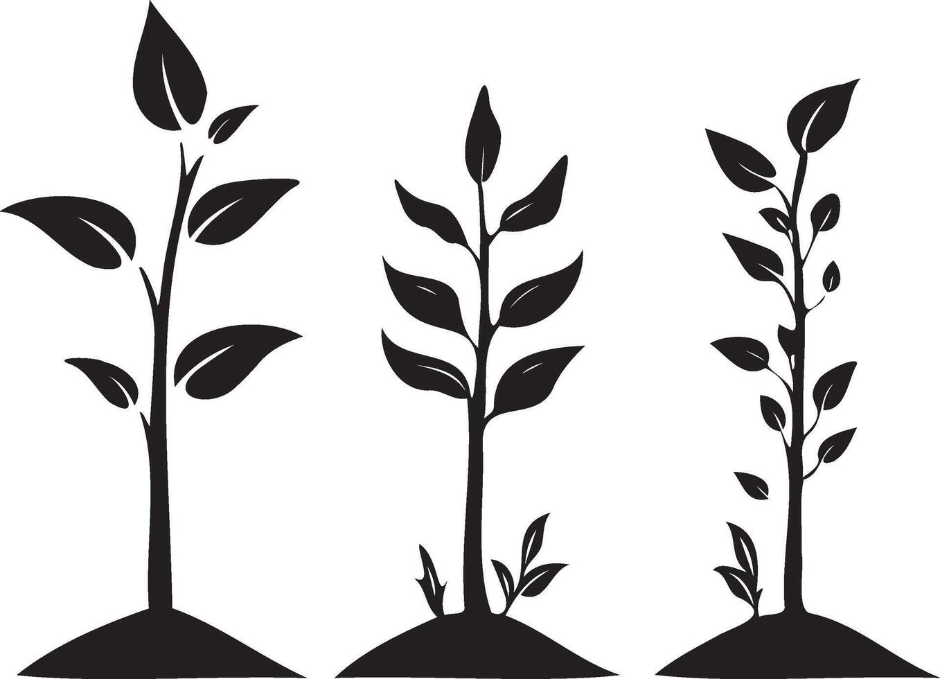 Black silhouette of growth stanges of tree leaf vector