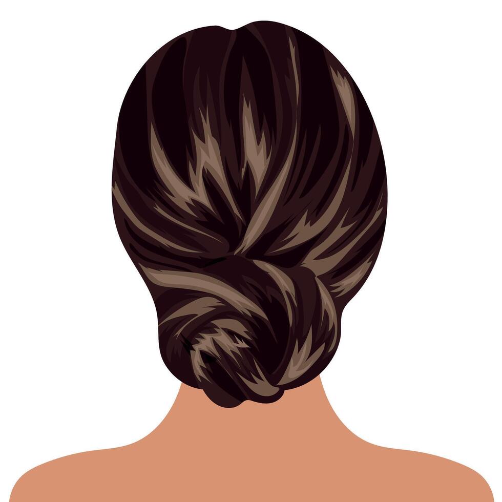 female hairstyle with bunches of long brown hair vector