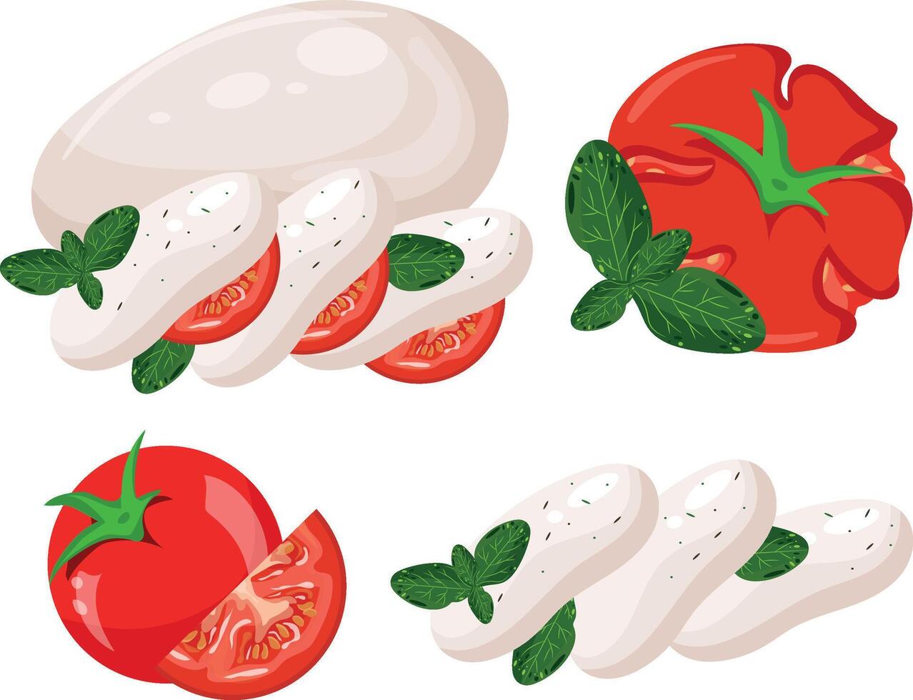 set of ingredients needed for caprese salad, namely mozzarella cheese, basil and tomato slices, for various designs, posters or banners vector