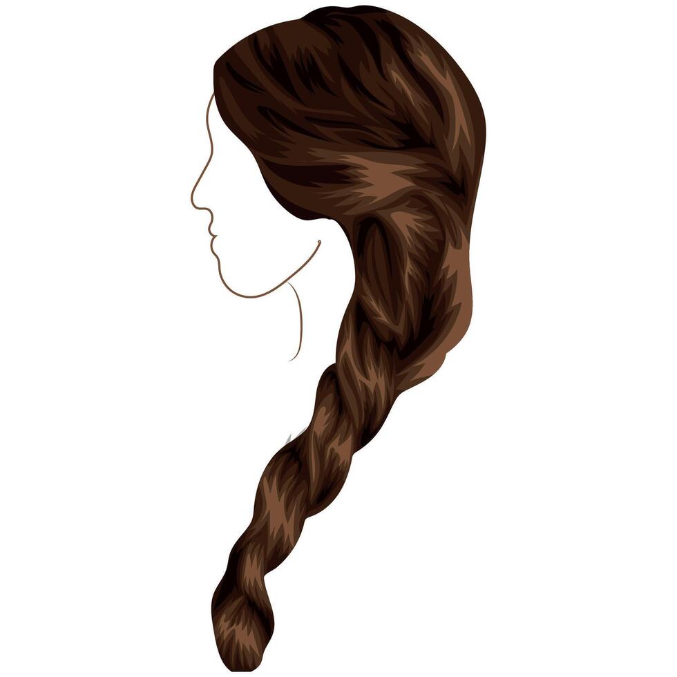 pattern female hair braided brown color vector
