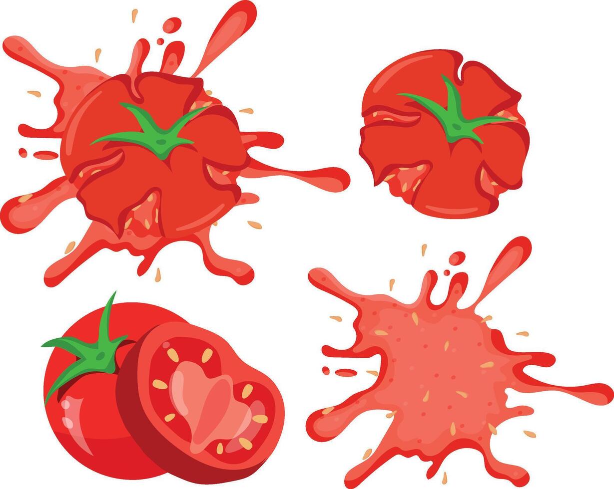 set of tomatoes of different types and shapes, namely a piece of tomato, crushed tomato and spilled tomato sauce, for various designs and posters vector