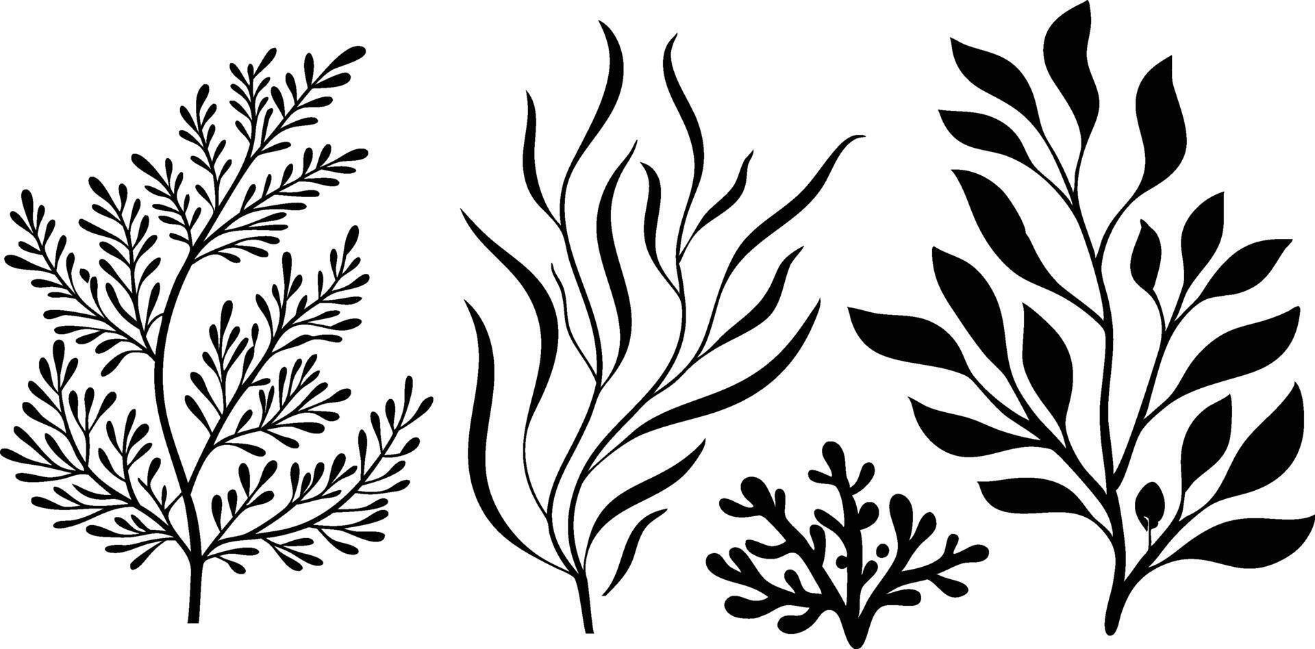 Elegant Black Botanical Illustration Modern Leaf Designs white vector