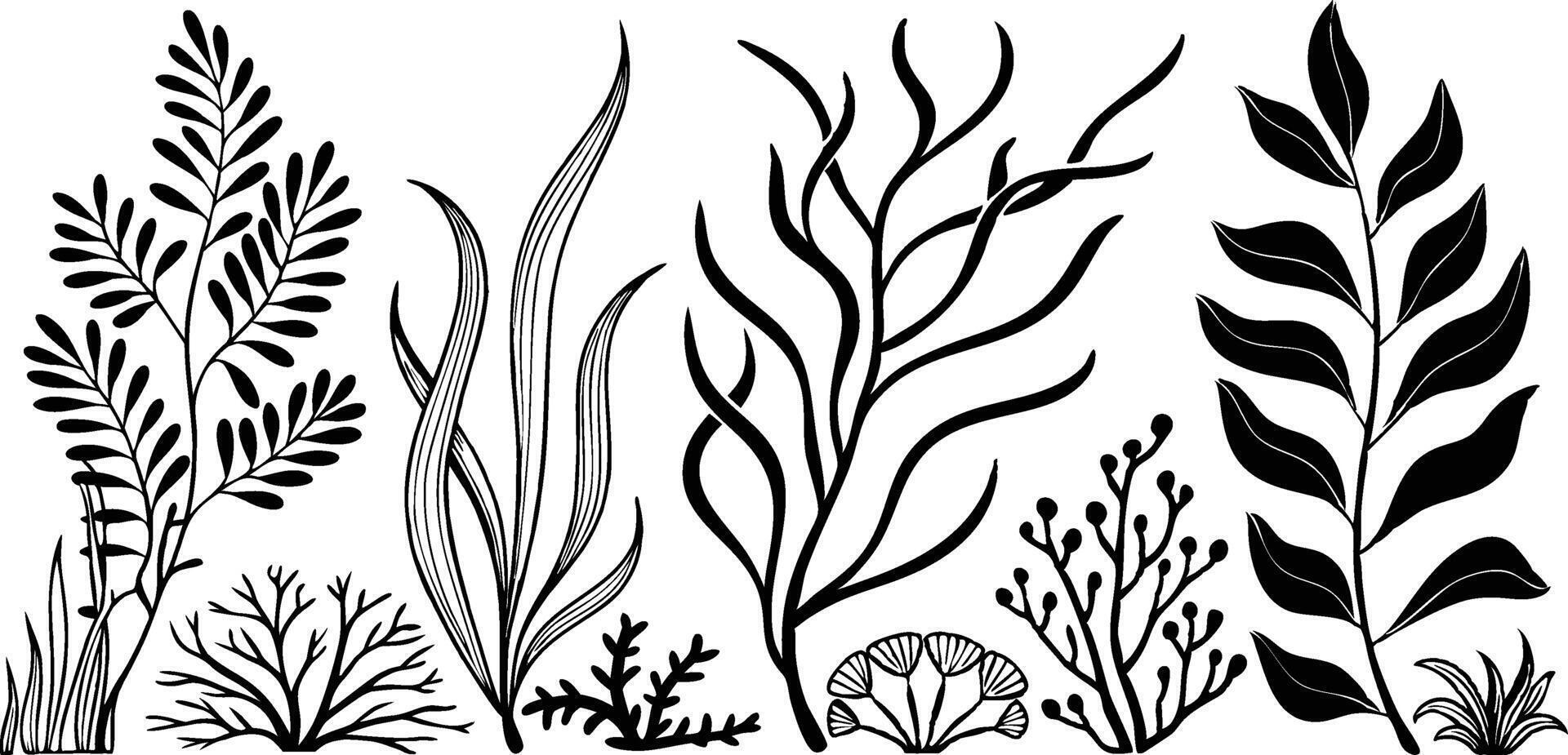 Elegant Black Botanical Illustration Modern Leaf Design vector