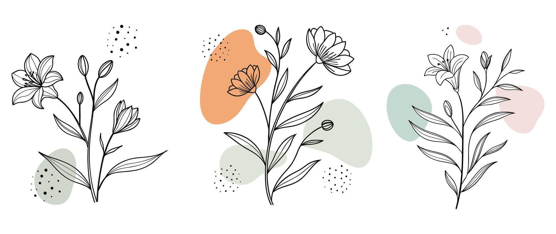 Floral Line Art with Abstract Pastel Shapes vector