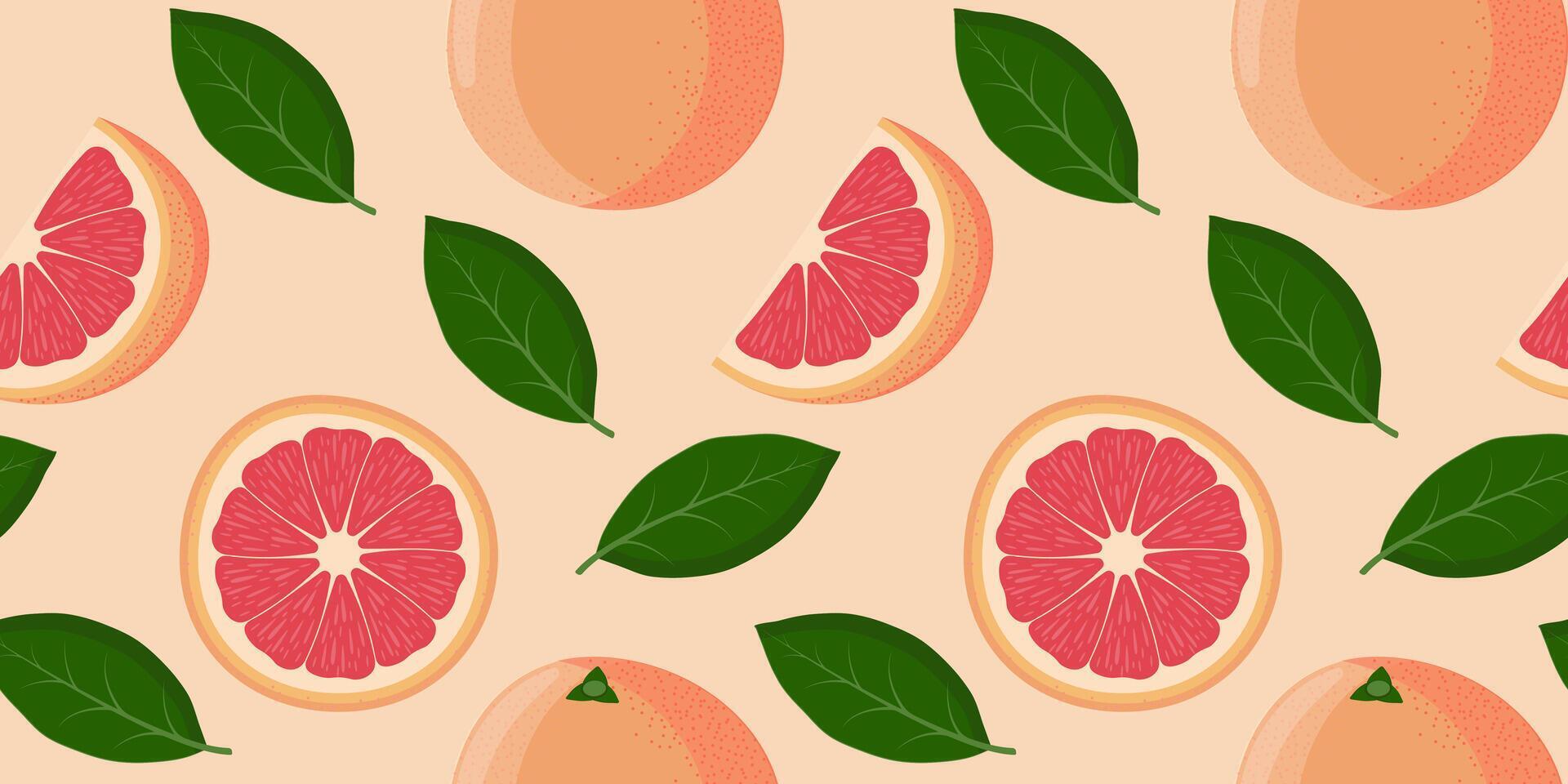 Seamless pattern with grapefruit vector