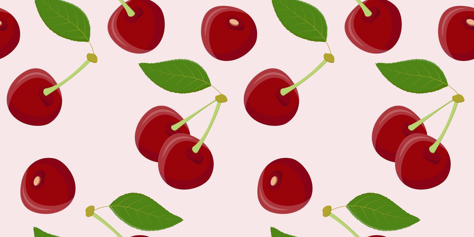 Seamless pattern with juicy cherry vector