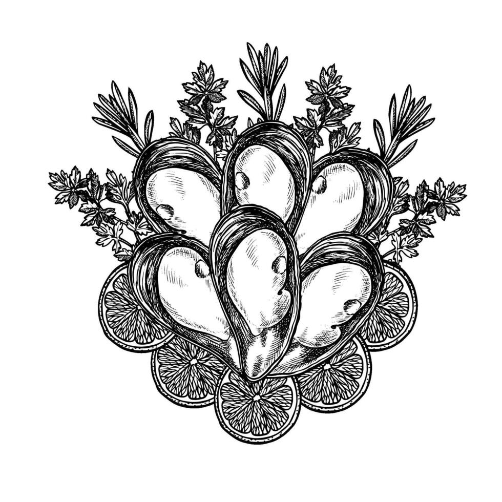 Mussels with lemon, parsley and rosemary. Hand-drawn illustration. Black and white image of seafood. Separate from the background. Suitable for menus, recipe books, packages, labels and banners vector