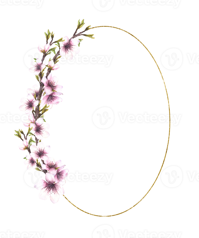 Watercolor Almond blossom tree branch with leaves and flowers oval golden framed. Hand drawn illustration. Spring apple or sakura twig frame for greeting, wedding card, label isolated from background png