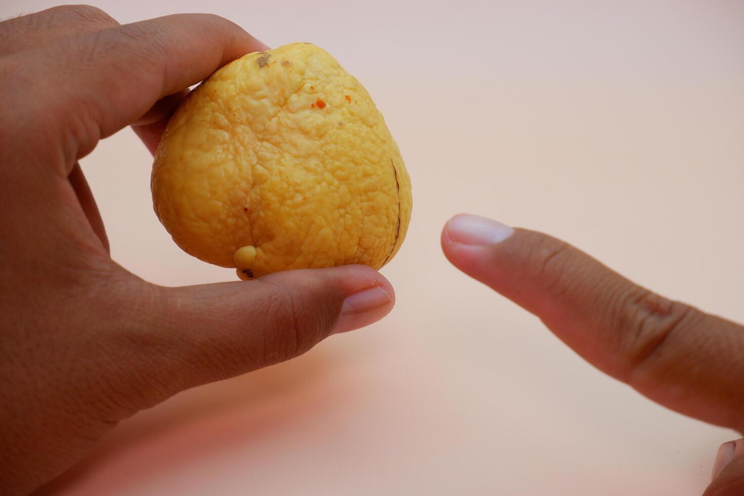 Close up of fingers holding an avocado pit with a soft orange backdrop photo