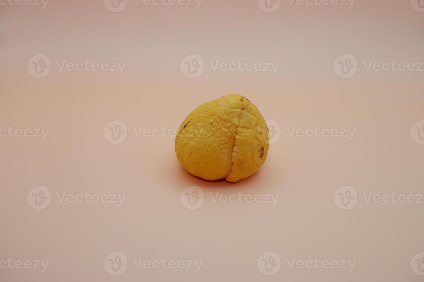 Shiny Avocado Stone Resting on a Soft-Toned White-Orange Background photo