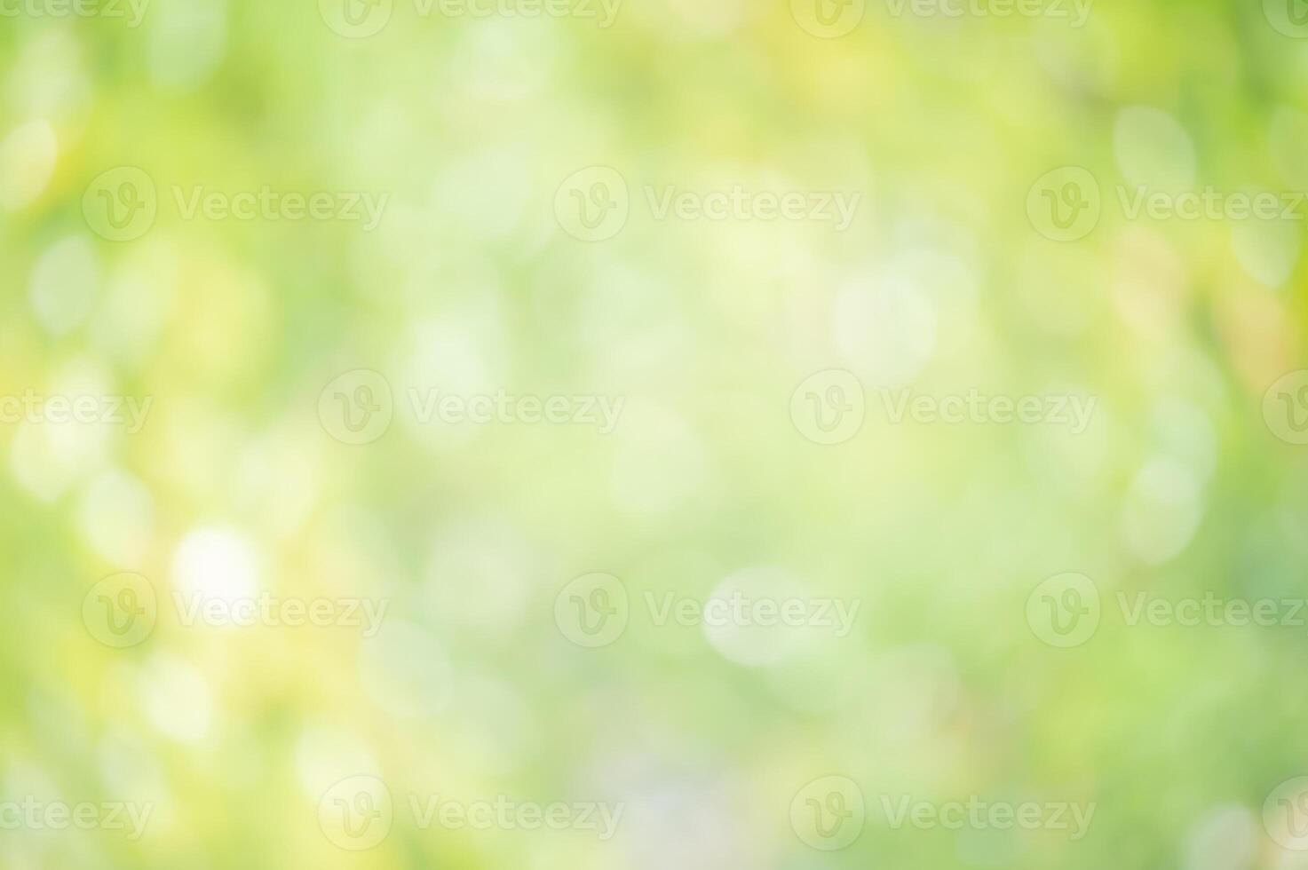 Defocused blurred background of greenery. Defocus lights round natural blurred plants. photo