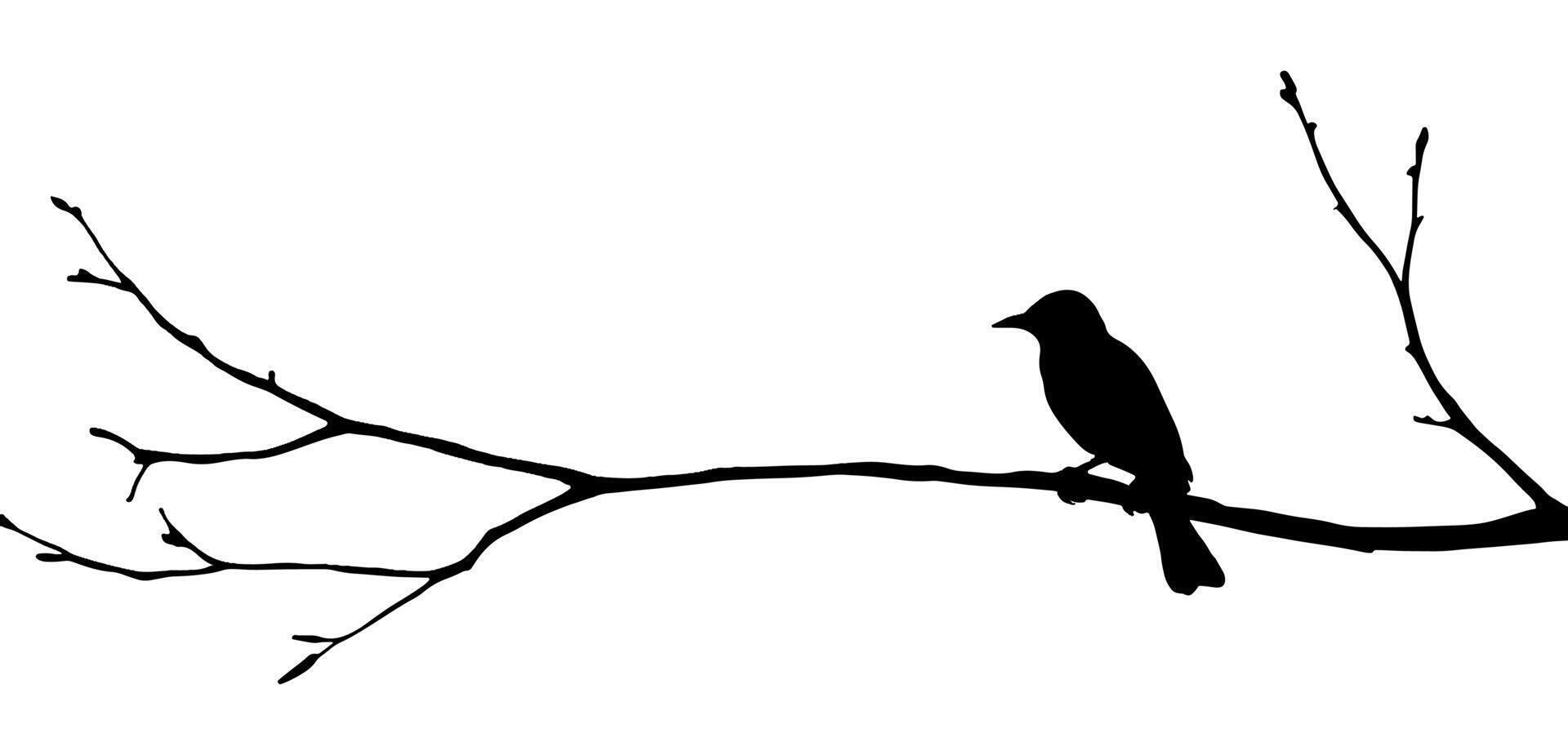Bird on tree branch illustration with a background vector