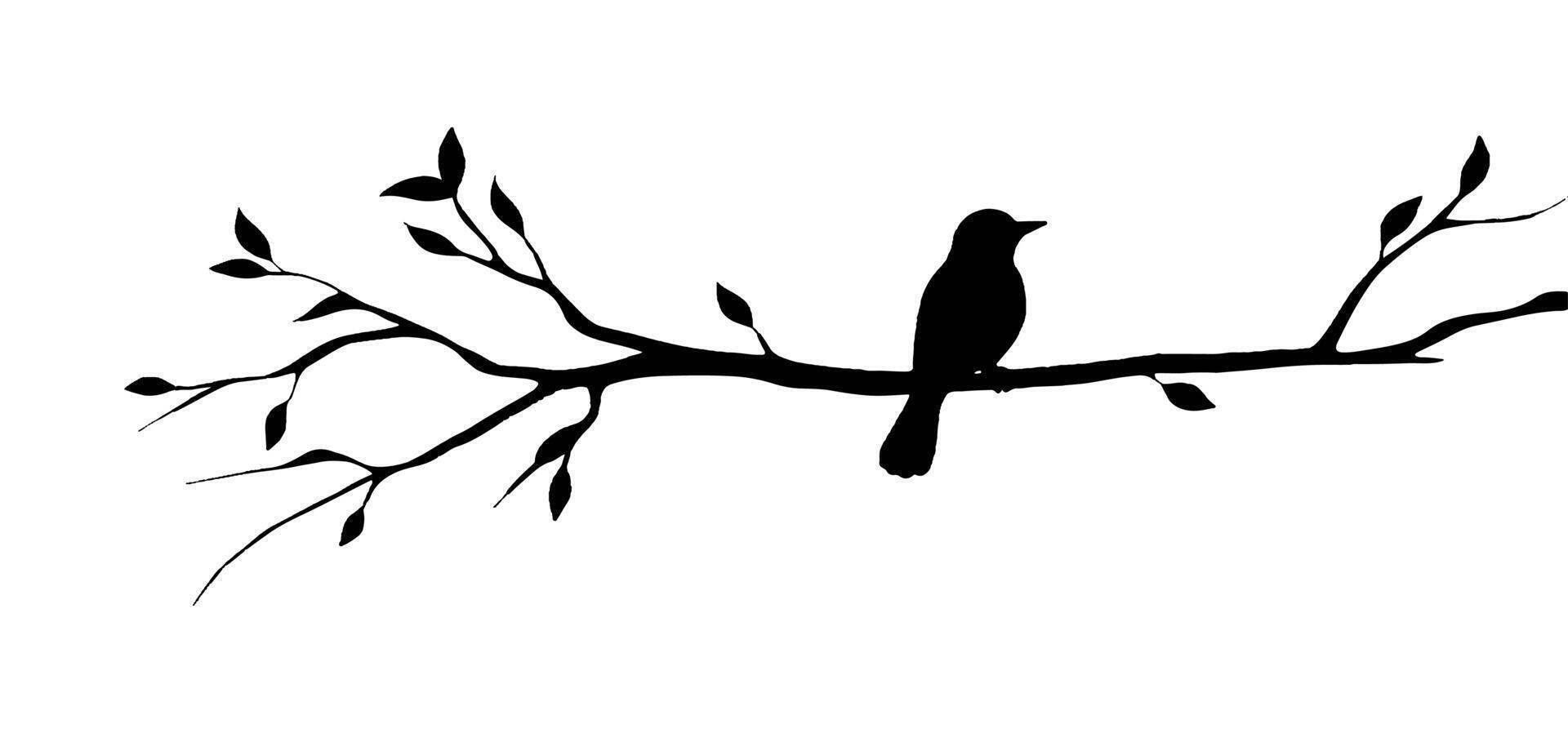 Bird on branch silhouette on white background vector
