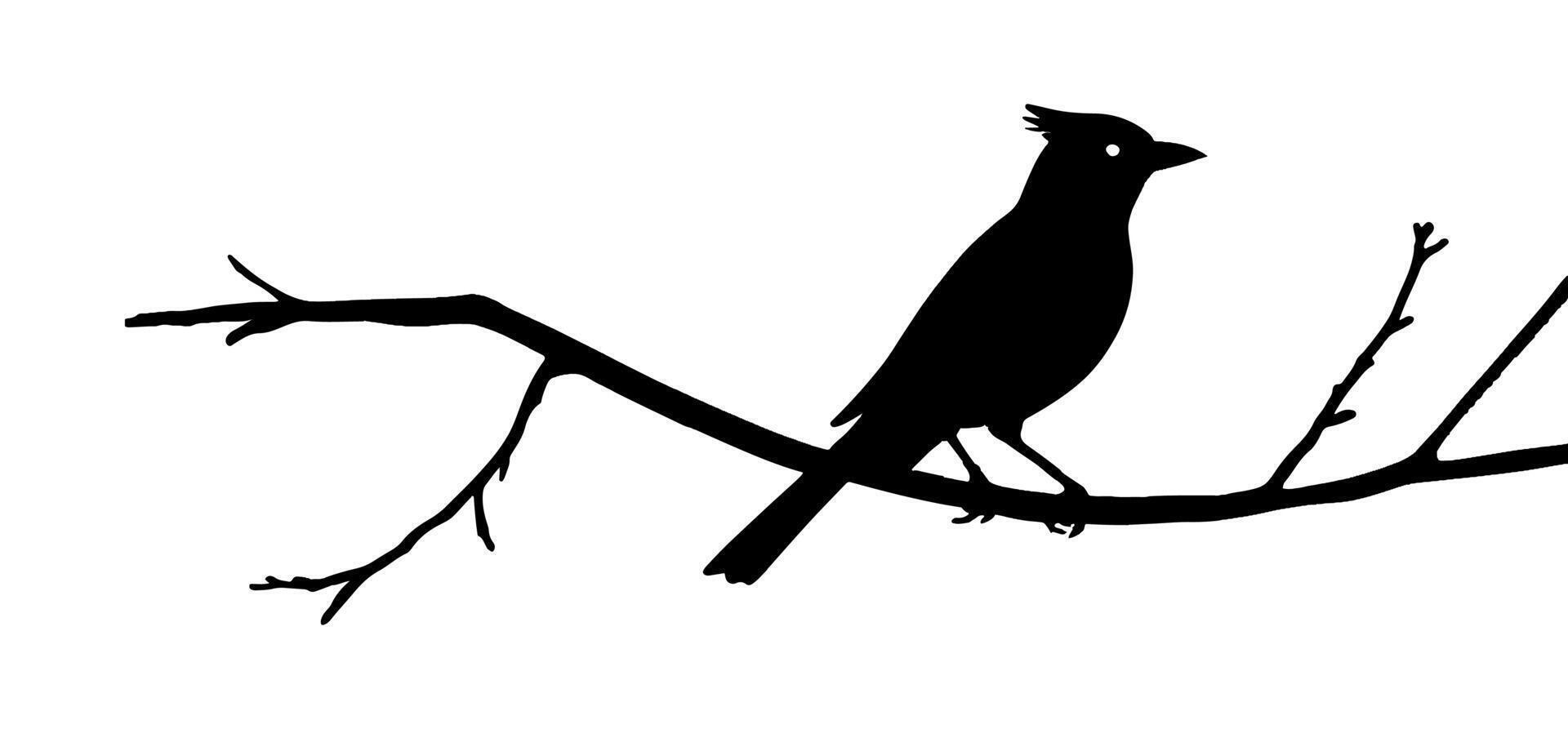 A silhouette of a bird on a branch vector
