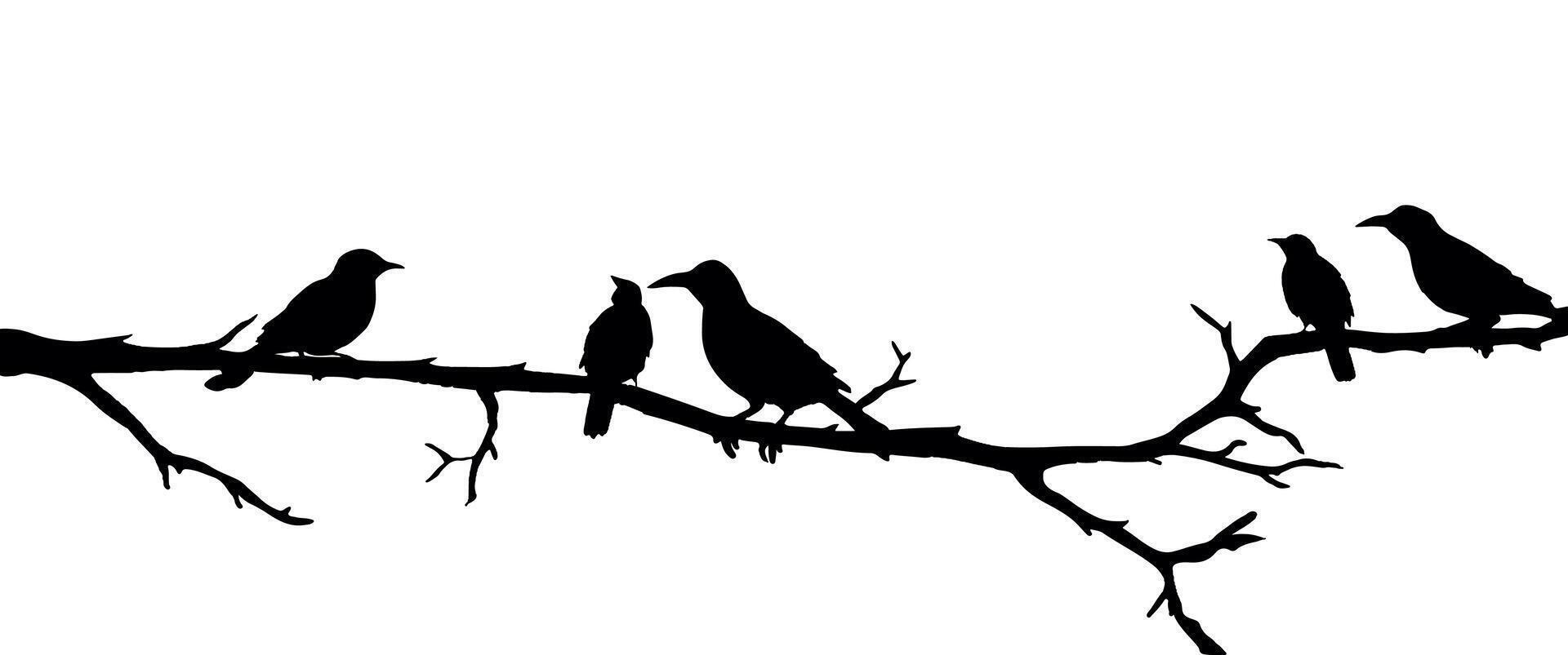 Birds on a branch illustration vector