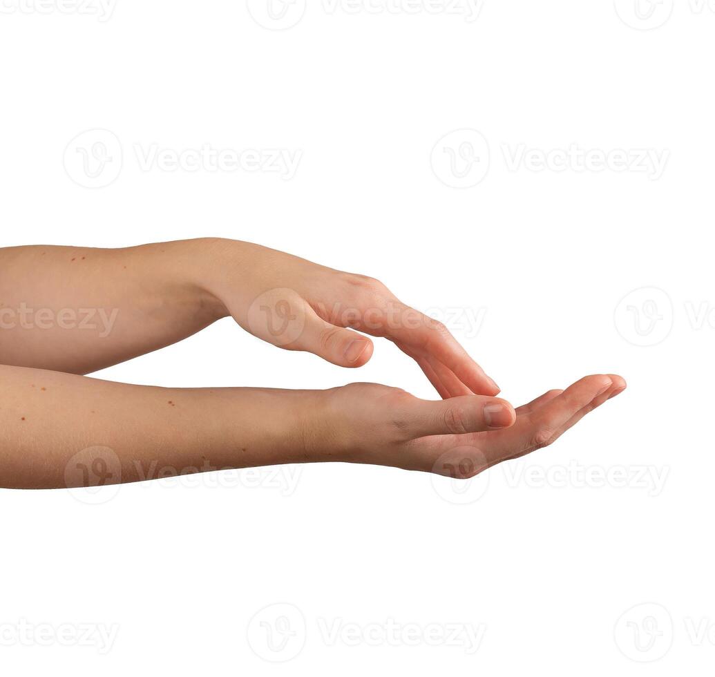Female hands with soft skin and delicate touch, expressing beauty, wellness, and hygiene. Smooth photo