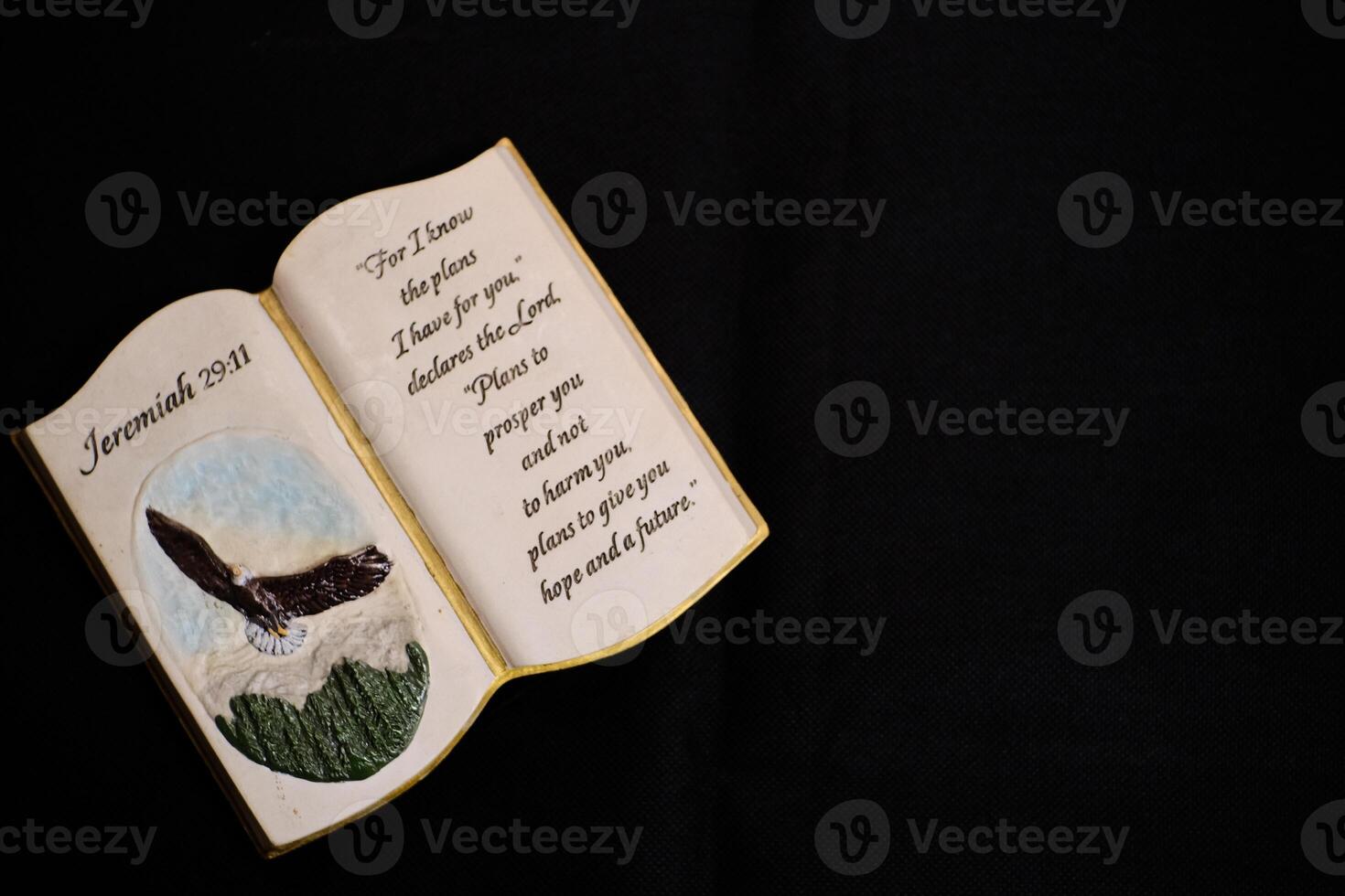 Jeremiah 29 11 - Hope and Future Bible Verse with Eagle photo