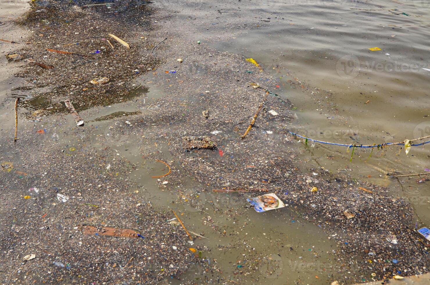 Polluted Water with Floating Trash Near Shore Environmental Issue photo
