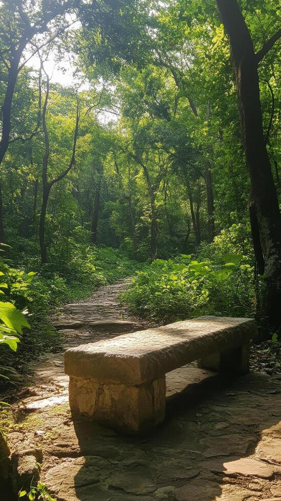 A stone bench sitting in the middle of a forest photo