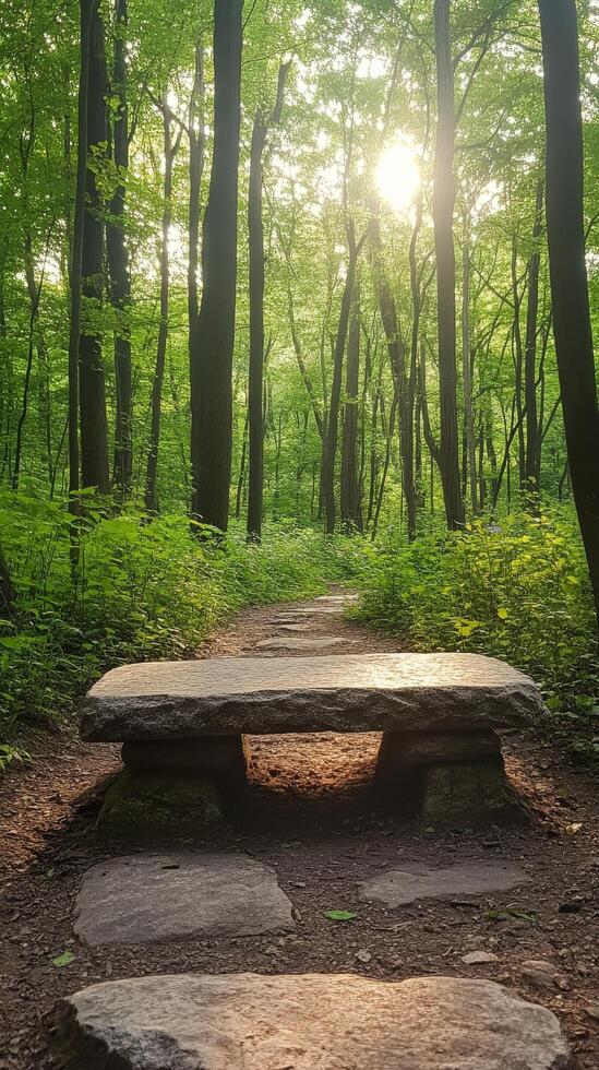 A stone bench in the middle of a forest photo