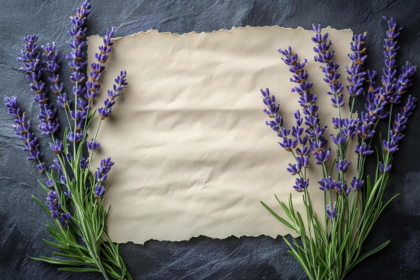 Lavender flowers and old paper on a black slate background photo
