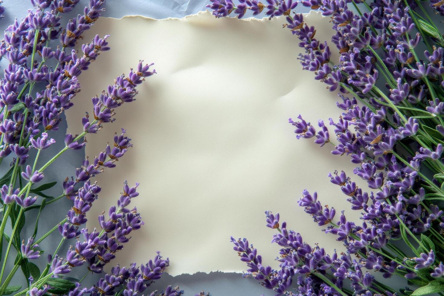 Lavender flowers and paper on a blue background photo