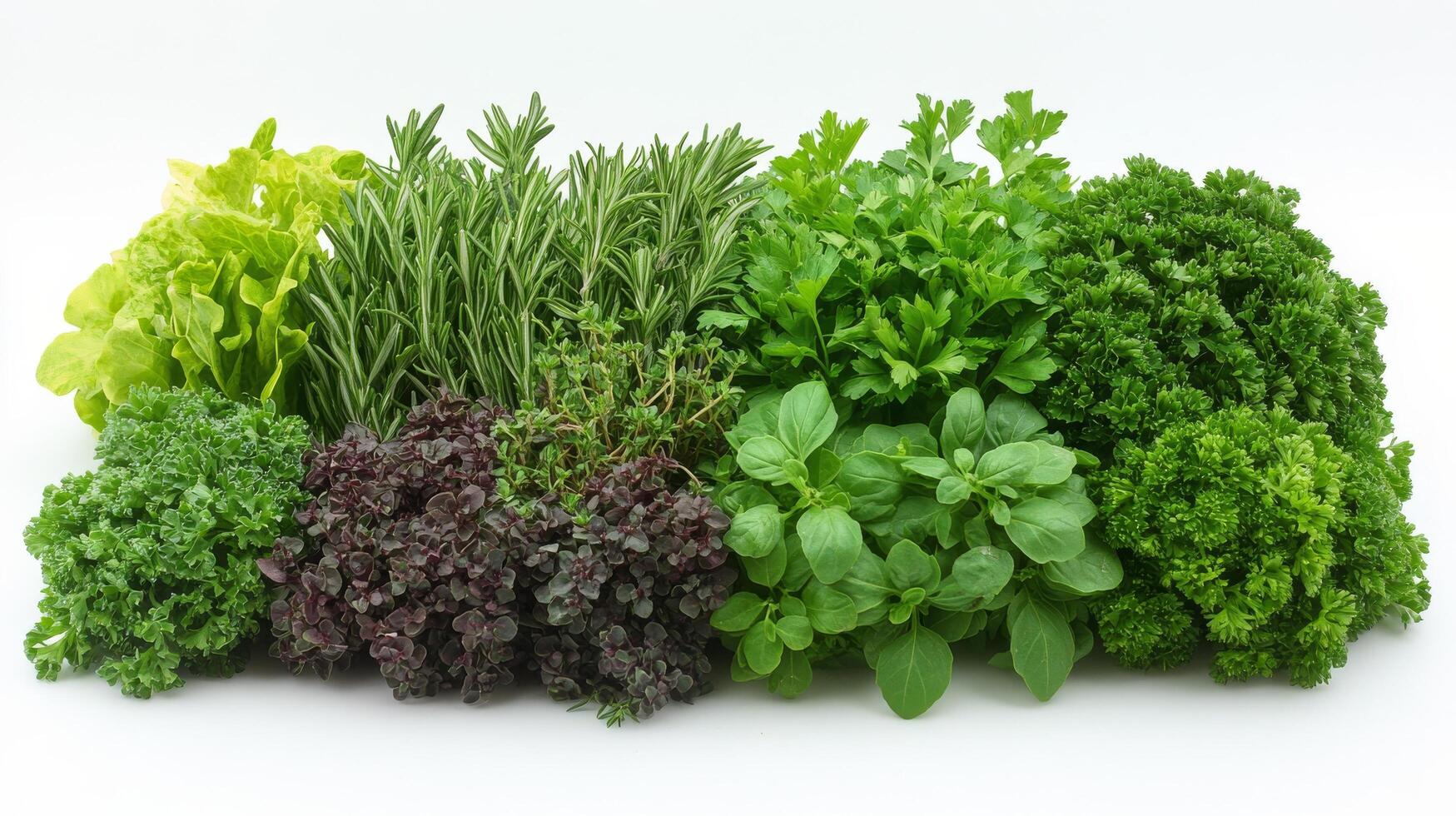 Various types of herbs and vegetables on a white background photo