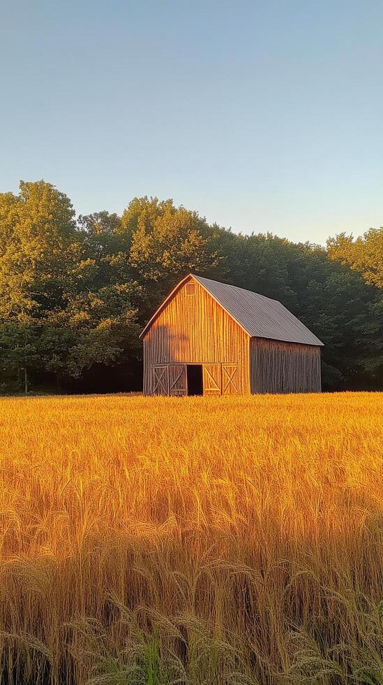 A barn sits in the middle of a field photo