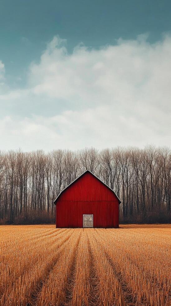 A red barn in the middle of a field photo