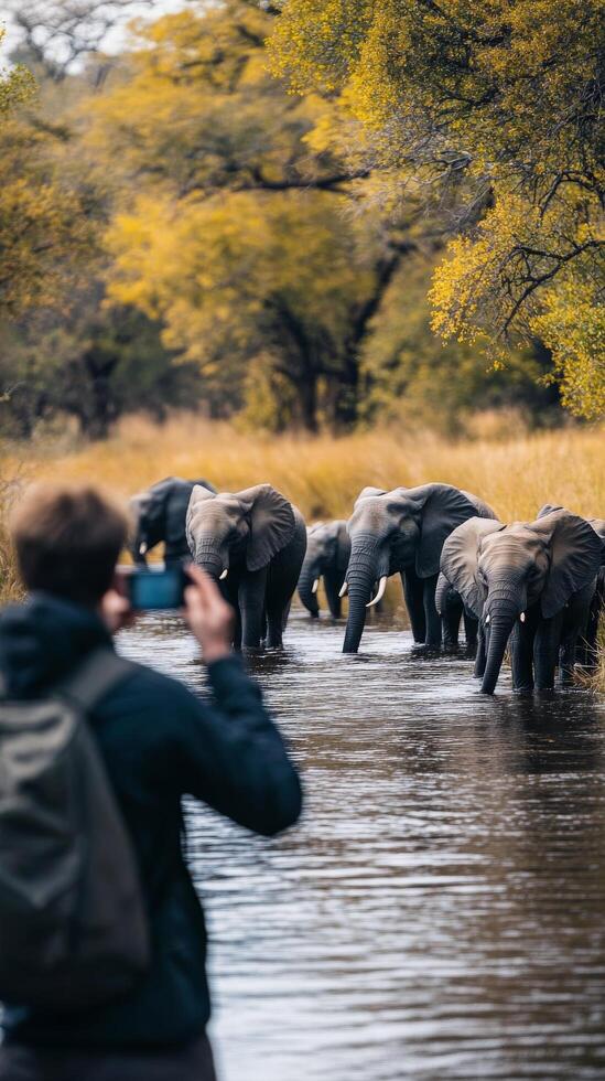 A man taking a picture of elephants in the water photo
