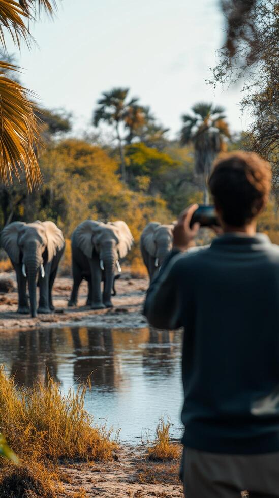 A man taking a picture of elephants photo