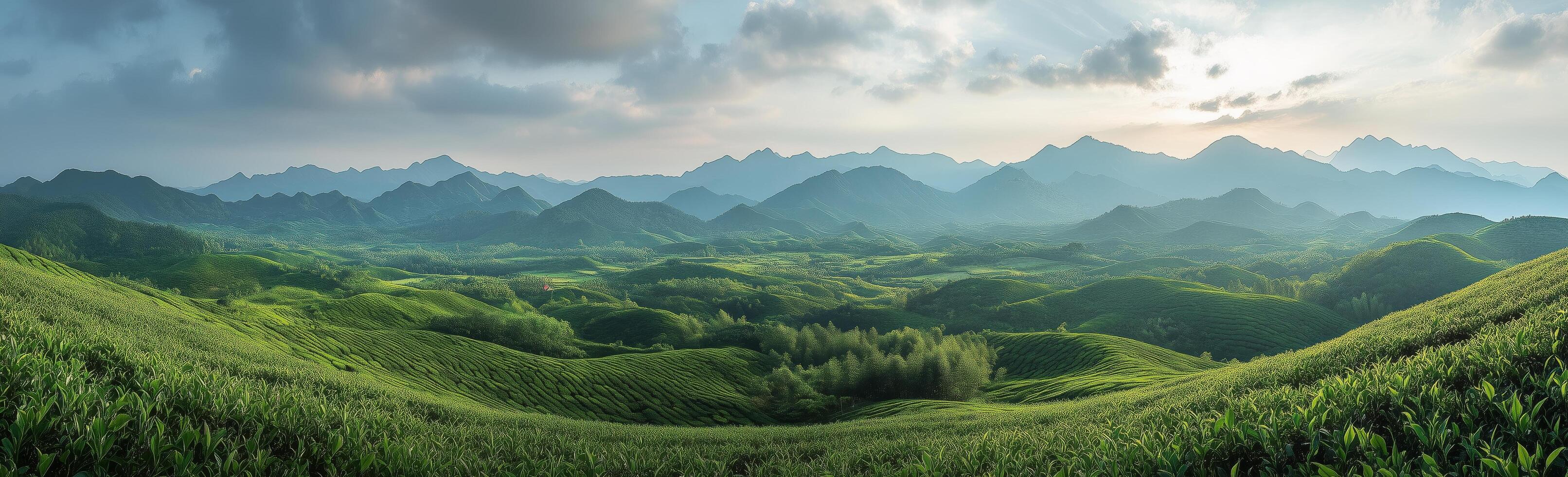 A beautiful landscape with mountains and grass photo