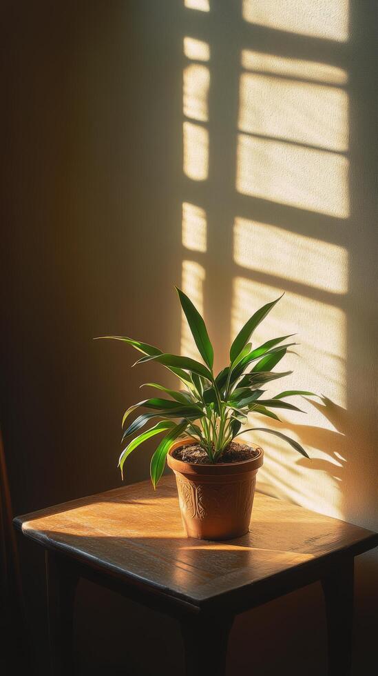 A plant in a pot on a table photo