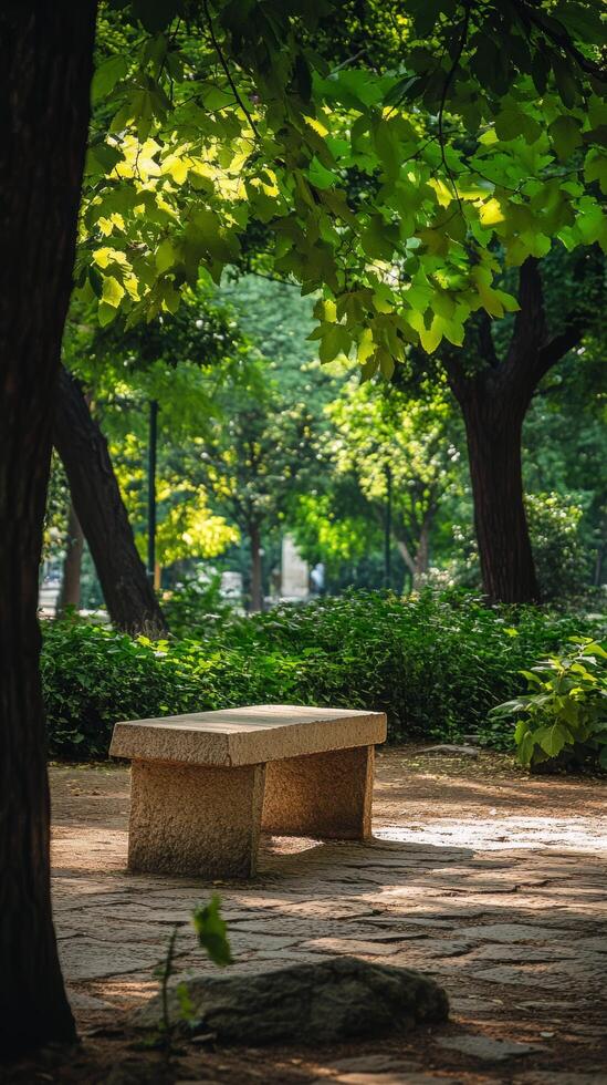 A bench sitting in the middle of a park photo