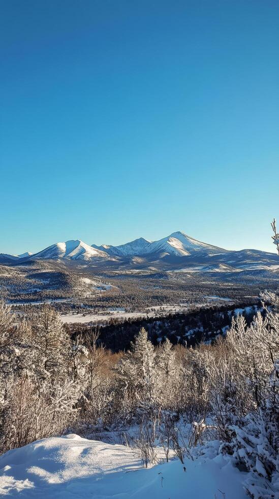 A view of the mountains from a snowy hillside photo