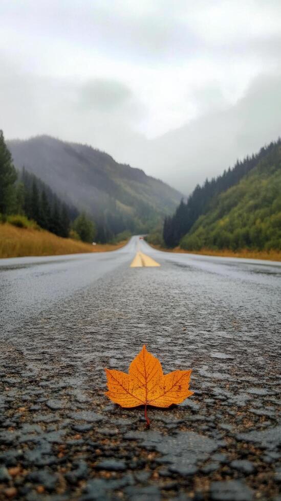 A lone leaf sits on the side of a road photo