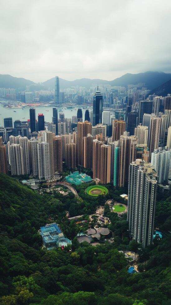 A view of hong kong from the top of a mountain photo