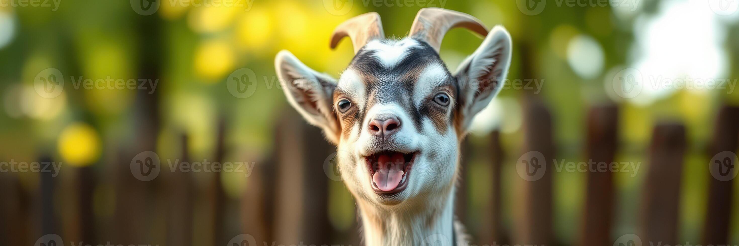 Happy young goat enjoying a sunny day at a farm with natural greenery in the background photo