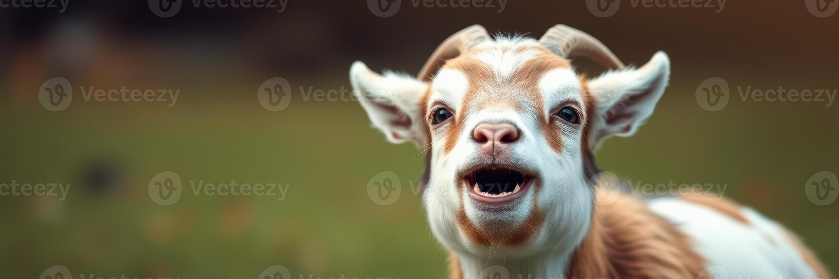 Playful young goat enjoying a sunny day on a farm in the countryside, showcasing its joyful demeanor as it interacts with surroundings photo