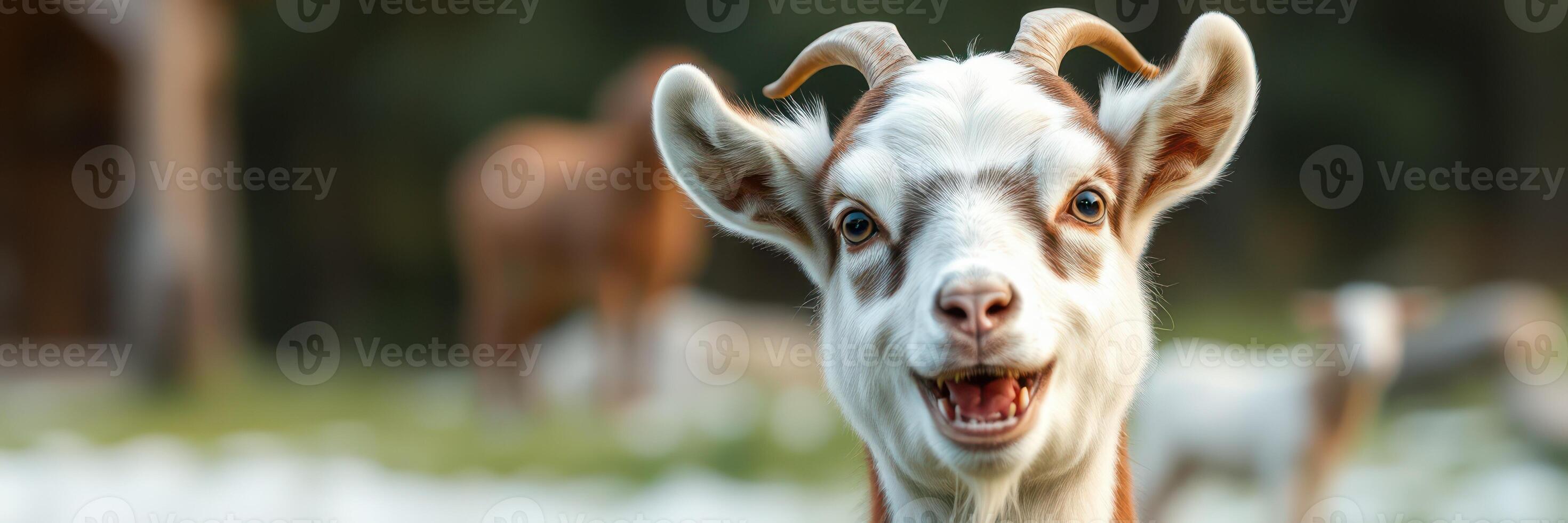 Goat happily grazing in a vibrant farm setting during a sunny afternoon photo