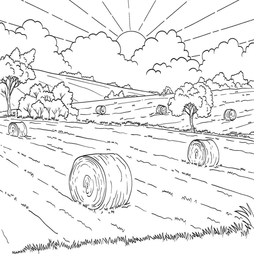 Hayfield with Hay Bales in Farm with Sun Drawing Black and White vector
